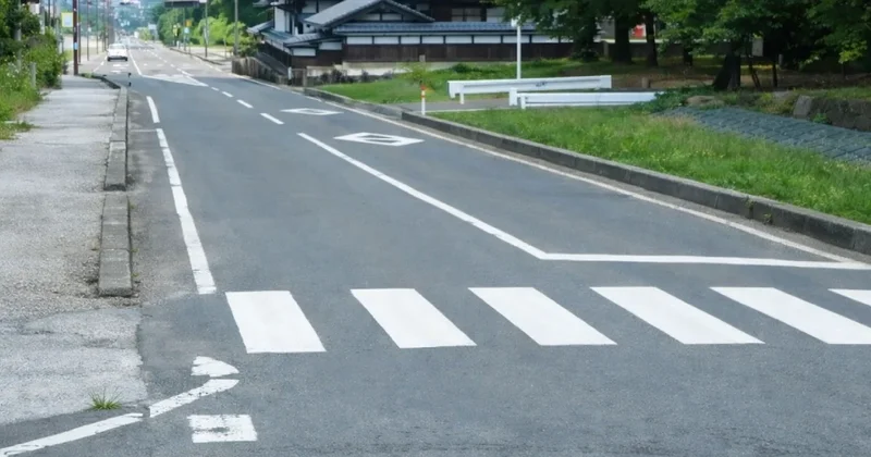 Kaldırımda bile yetişen bu bitki meğer süper meyveymiş : Amerika da çiğ çiğ yiyorlar Sözcü Gazetesi