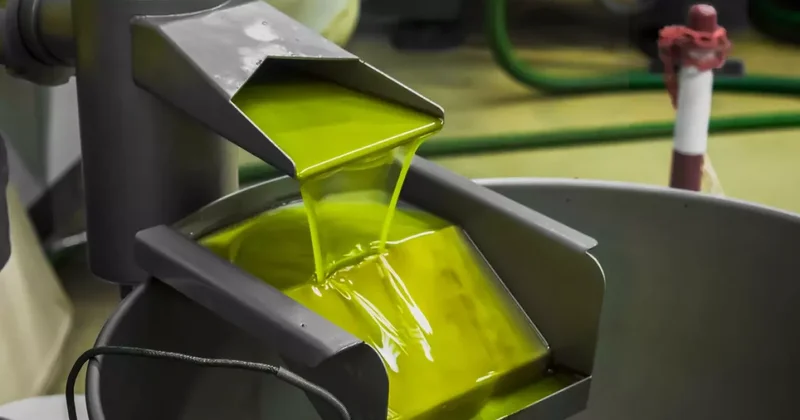 Tariş ten zeytinyağına yüzde 35 zam kararı