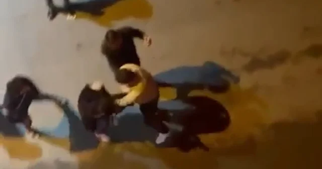 Taksici ile kadınların kavgası kamerada Şanlıurfa Haberleri