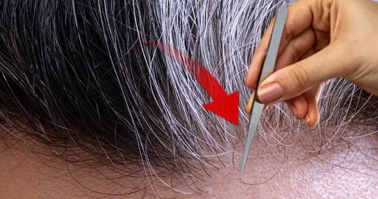 Saç beyazlamasını yavaşlatmak hatta tersine çevirmek mümkün mü? Uzmanlar uyarıyor! Cımbızdan uzak durun