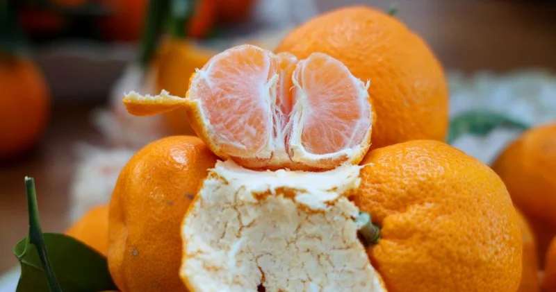 Mandalina ihracatı 615 milyon dolarla rekor kırdı Alışveriş Haberleri