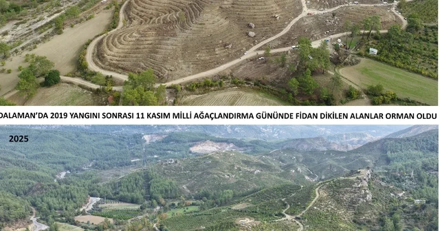 Kara tablo, 6 yılda yeşil örtüye dönüştü Muğla Haberleri