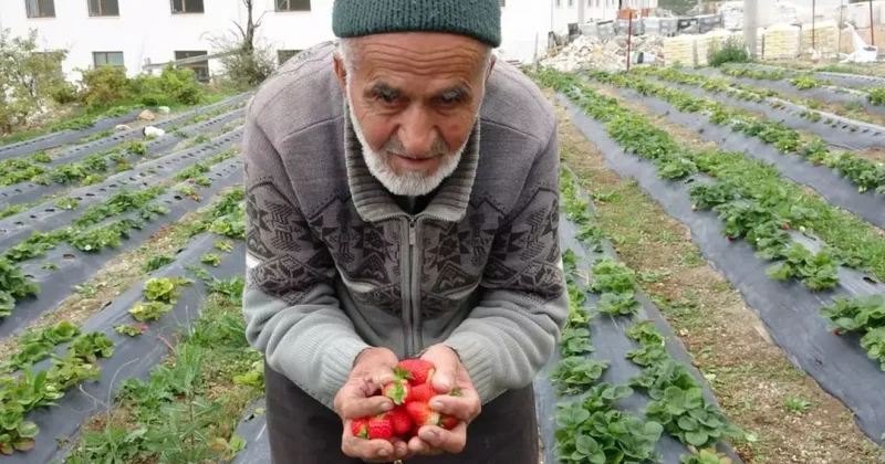 Türkiye onu konuşmuştu! İbrahim Dede den acı haber