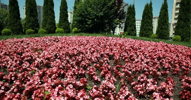 Talas 2026 da rengarenk olacak Kayseri Haberleri