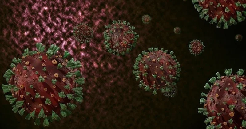 DSÖ den mutasyona uğrayan H3N2 virüsü uyarısı! Sağlık Haberleri