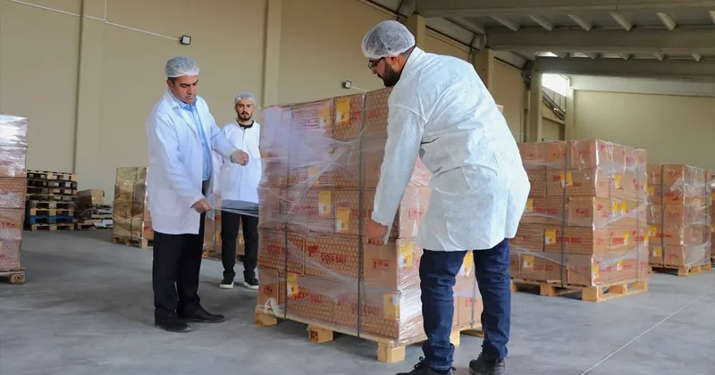 Devlet desteli ile kurdu: Van dan Dubai ye 16,5 ton bal ihracatı yaptı