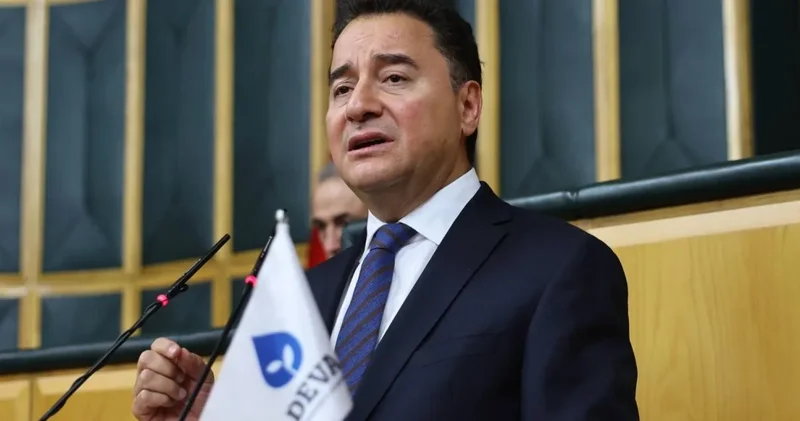 Babacan: Erdoğan sürecin siyasi riskini üstlenmiyor