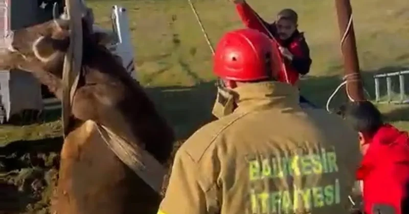 Balıkesir’de kuyuya düşen inek kurtarıldı