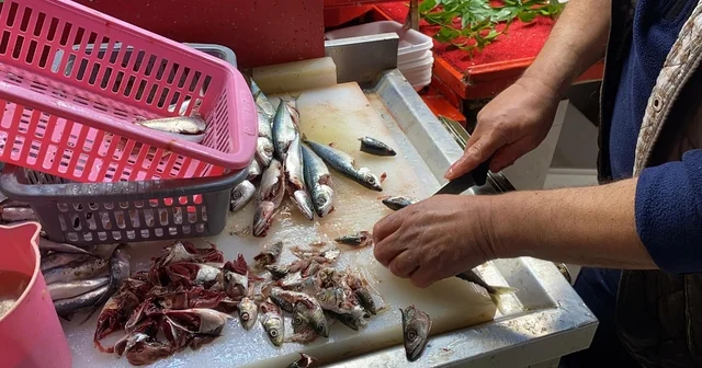 Doğru bilinen yanlışı uzmanı açıkladı: Gözüne bakıp tazeliğini anlarım diyen yalan söyler Bolu Haberleri
