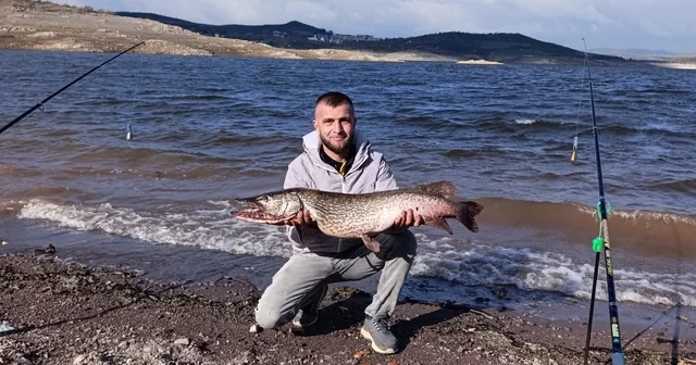 Sındırgı da dev sazan balığı yakalandı Sazan yakalayan balıkçıları Karaca izledi Balıkesir Haberleri