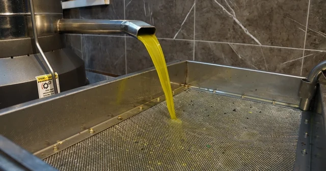 Zeytinyağı fiyatları belli oldu, fiyatlarda artış yaşandı Aydın Haberleri