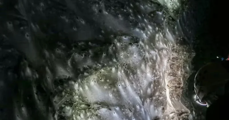 Dünyanın en büyük örümcek ağı iki ülke büyüklüğünde Sözcü Gazetesi