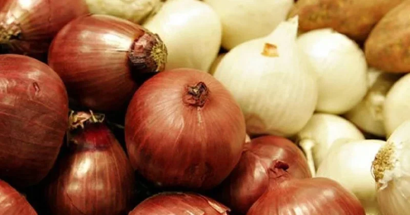 Aylar geçse de soğanlar asla bozulmuyor: Böyle saklayın Sözcü Gazetesi