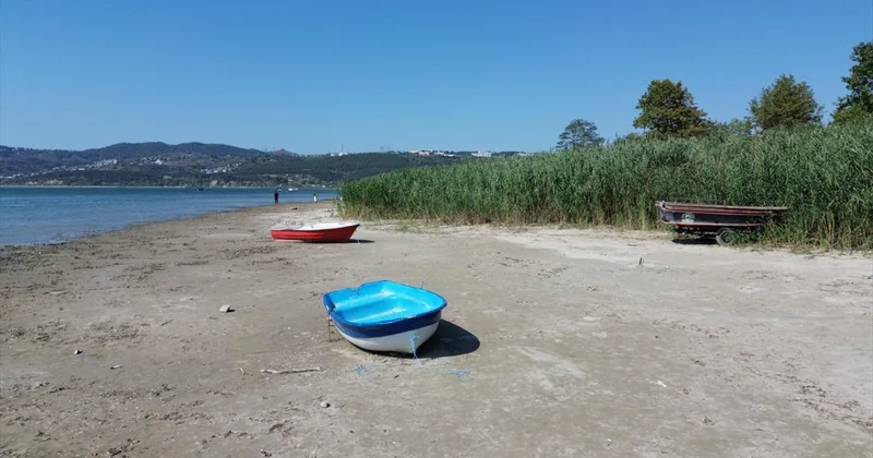 Sapanca Gölü ndeki kuraklık suyun kalitesini de düşürüyor