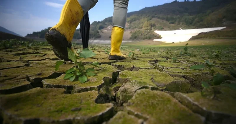 Çevre koruma harcamaları 440 milyar TL yi geçti