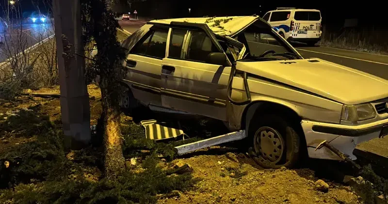 Ağaca ve aydınlatma direğine çarpan otomobilin sürücüsü yaralandı