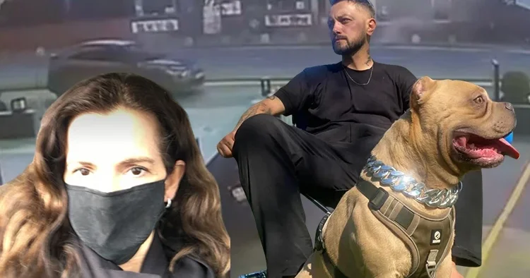 Şişli deki feci kazada 2 kişi hayatını kaybetmişti! Kahreden detay ortaya çıktı: Hakan öldü, köpeği kayıp