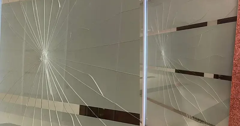 Ağabeyi ceza aldı, karar sonrası mahkeme salonunun camına yumruk attı