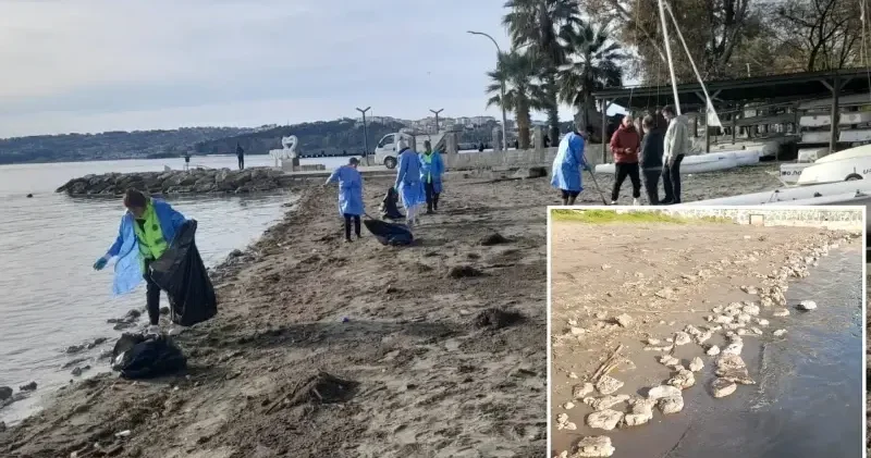 Sinop sahilinde görülen kirlilikle ilgili inceleme başlatıldı Sinop Haberleri