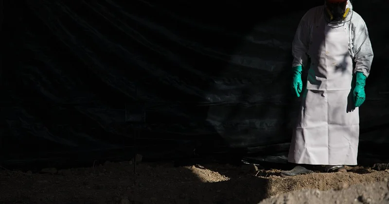 Harvard morg müdürü, ceset parçalarını süs eşyası gibi sattı