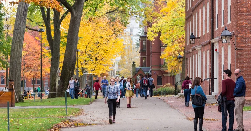 İnsan derisinden kitap cildi yapılmış... Cezası belli oldu Sözcü Gazetesi