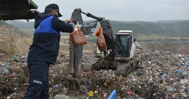 Otobüs bagajında taşıdılar! Zabıta ekipleri otogarda ele geçirdi, hepsi imha edildi