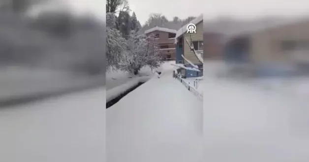 İmamın seslendiği kedilerin karda sıralı şekilde yürümesi görüntülendi