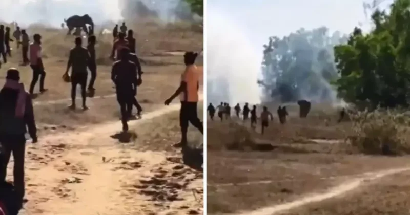 Kontrolden çıkan fil, 22 kişiyi öldürdü: Köylüler çatı ve ağaçlarda uyuyor