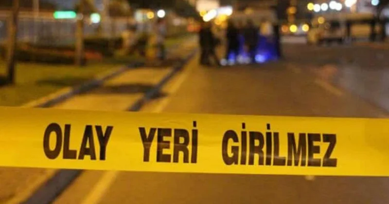 Elazığ da park halindeki TIR a çarpan araçtaki çift hayatını kaybetti