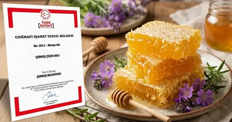 Çerkeş çiçek balı coğrafi işaret tescili aldı Çankırı Haberleri
