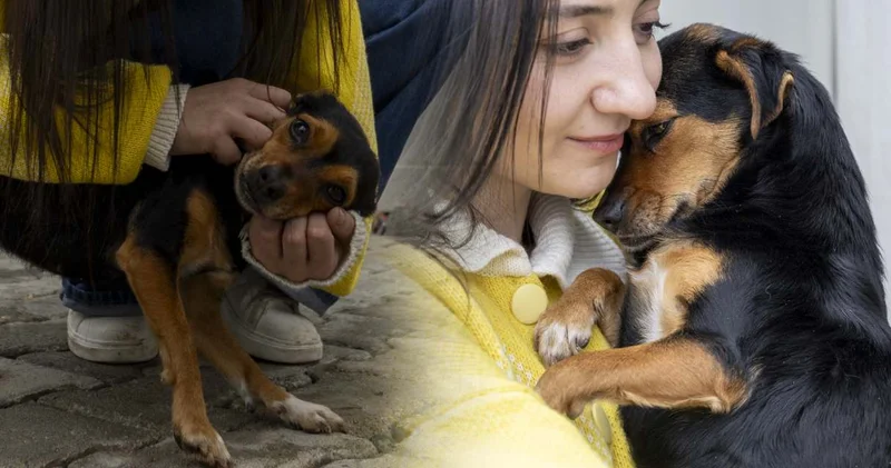 Hanimişi benim guttişim rekorunu anlattı!
