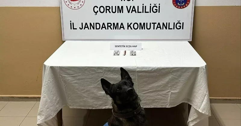 Çorum’da uyuşturucu hapla yakalanan 3 kişi gözaltına alındı