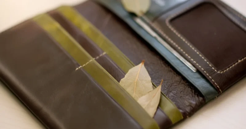 Cüzdanınıza hemen defne yaprağı koyun Sözcü Gazetesi