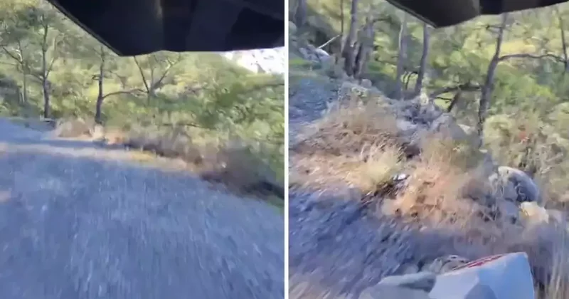 Uçuruma yuvarlanırken tek bir kelime haykırdı