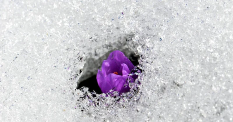 Cemre düşmesi tarihi 2026: Cemreler ne zaman ve nereye düşecek?