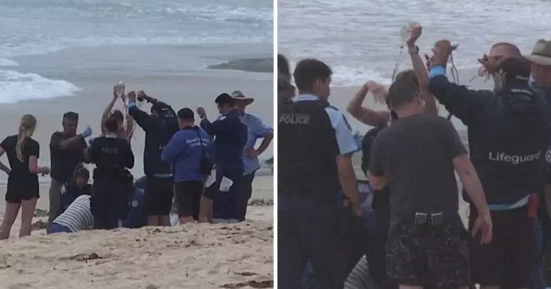 Köpekbalığı sörfçüyü ağır yaraladı! Deniz kırmızıya boyandı