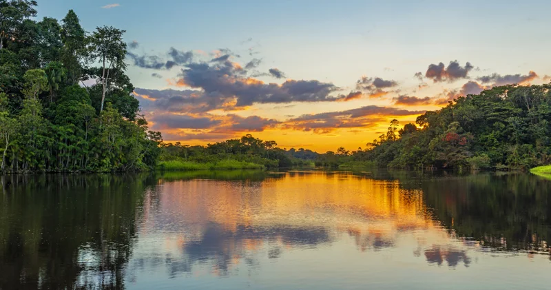 Dünyanın akciğerleri nasıl nefes alıyor, içeride insan yaşamı var mı? Amazon Ormanları’na dair az bilinen gerçekler