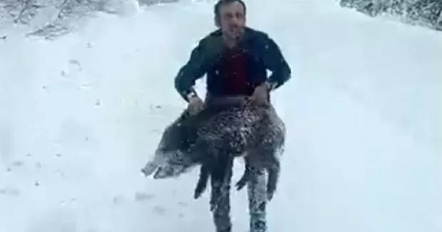 Sinop haberleri Sinop ta elleriyle domuz yakalayan adama kesilen cezada yeni gelişme 19 Ocak 2026