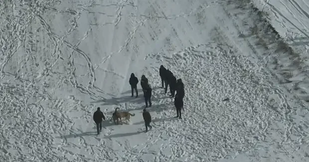 Nevşehir haberleri Nevşehir de köpek dövüştürenlere jandarmadan havadan baskın 19 Ocak 2026