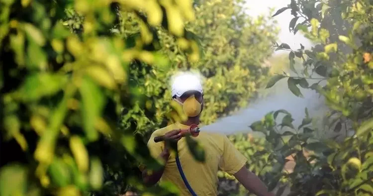 5 soruda tarımda B Reçete uygulaması