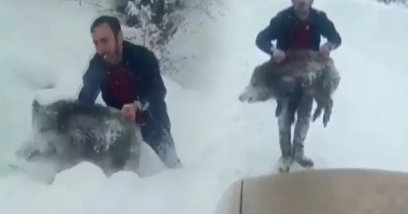 Dünyanın onu eliyle domuz yakalamasından tanımıştı! O ismin cezasıyla ilgili yeni gelişme