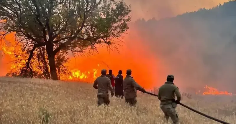 Orman yangınlarına karşı mücadele filosu büyütülecek Ekonomi Haberleri