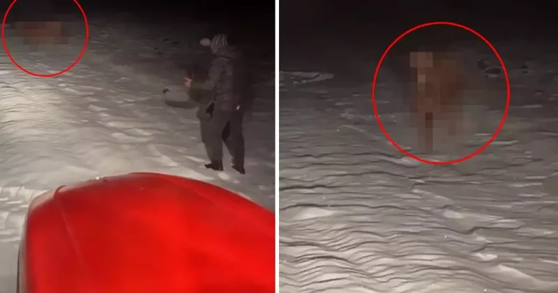 Bütün köyü seferber eden olay: Gece yarısı traktörlerle peşine düştüler