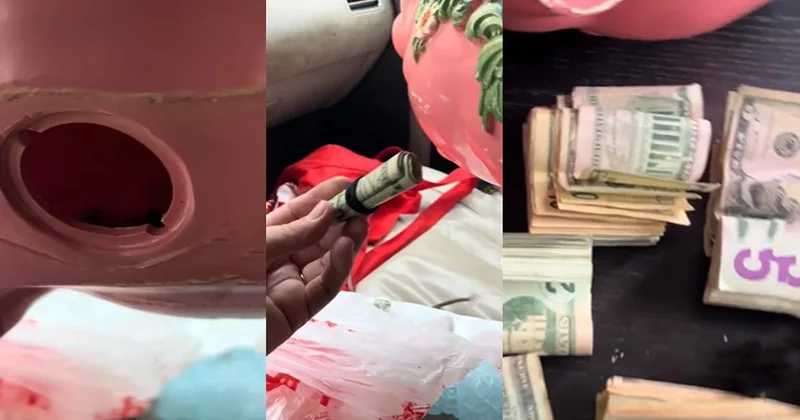 476 TL ye aldığı kumbaranın içinden deste deste para çıktı Sözcü Gazetesi