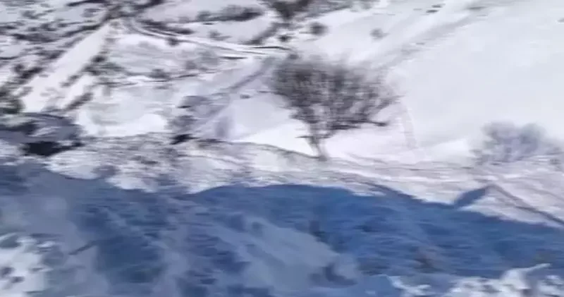 Giresun’da hayvanlarını otlatan çoban çığ altında kaldı