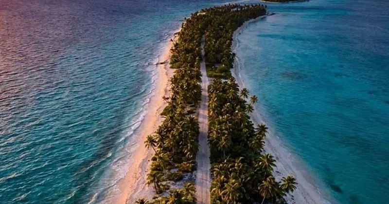 Durmadan 24 bin kilometre yol gitti: Rotası herkesi şaşırttı Sözcü Gazetesi