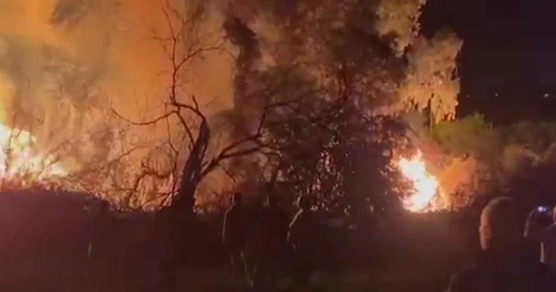 Antalya da ormanlık alanda yangın