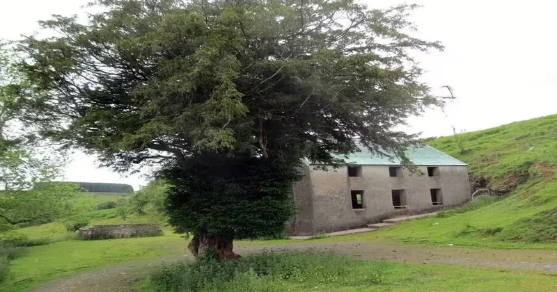 Google haritalarda var ama gerçekte yok: Bir köyü böyle sildiler Sözcü Gazetesi