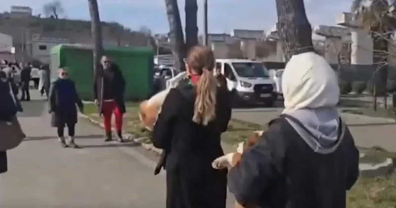 CHP li Adıgüzel’den vahşet tepkisi: Vatandaşlar hayvanları kurtardı!