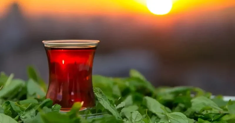 Türk çayına küresel talep arttı! 51 ülkeye, 2 milyon doları aşkın ihracat yapıldı